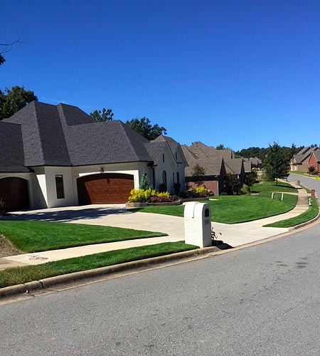 Large residential property with Ezoy ™ Zoysiagrass installed