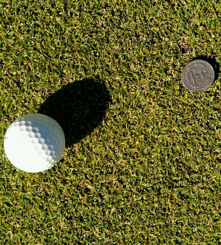 Golf ball on green