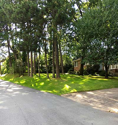 ShadeKing ® Zoysiagrass installed in a lawn with many trees