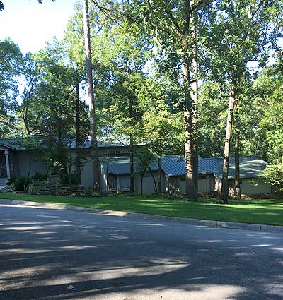 Shadeking ® Zoysiagrass installed on a residential property with many trees